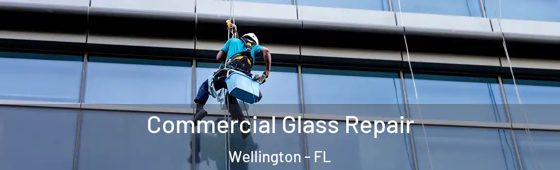 Commercial Glass Repair Wellington - FL