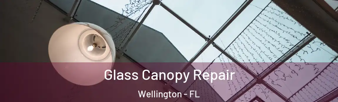 Glass Canopy Repair Wellington - FL