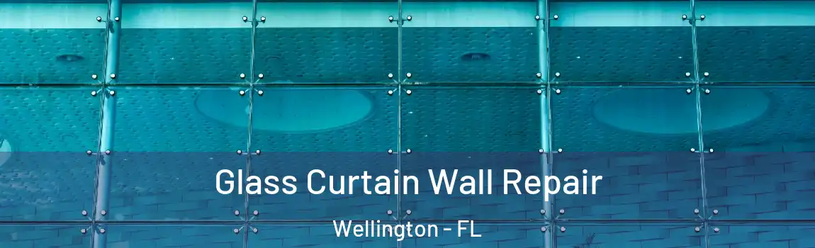 Glass Curtain Wall Repair Wellington - FL