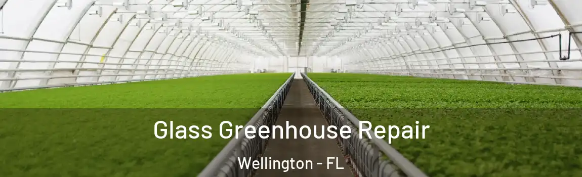 Glass Greenhouse Repair Wellington - FL