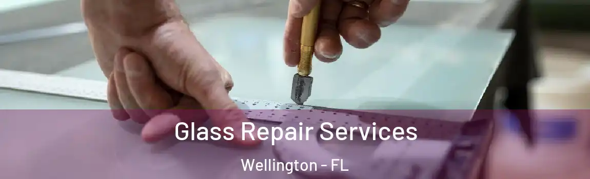 Glass Repair Services Wellington - FL