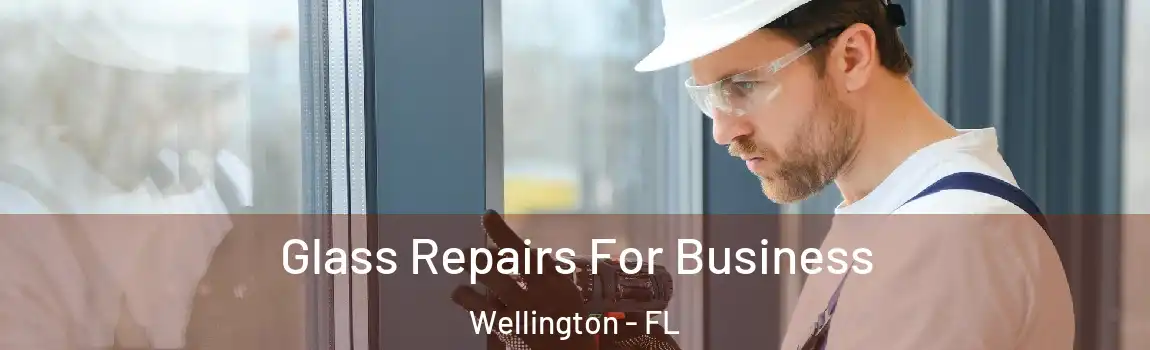 Glass Repairs For Business Wellington - FL