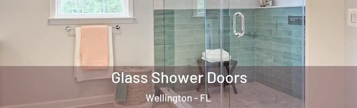 Glass Shower Doors Wellington - FL