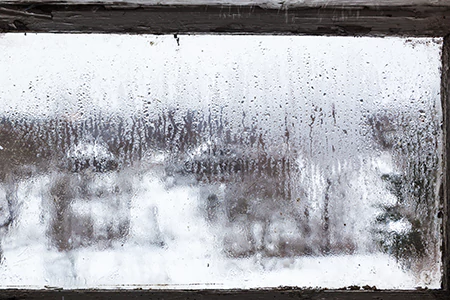Defogging Double Pane Windows in Wellington, FL