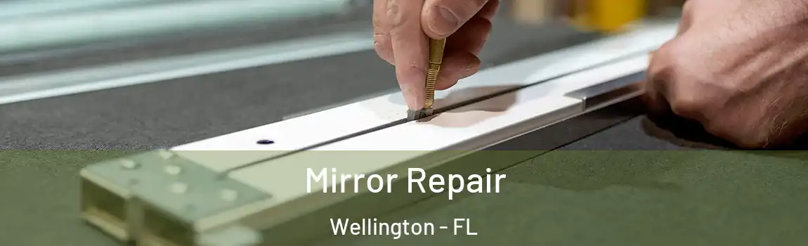 Mirror Repair Wellington - FL