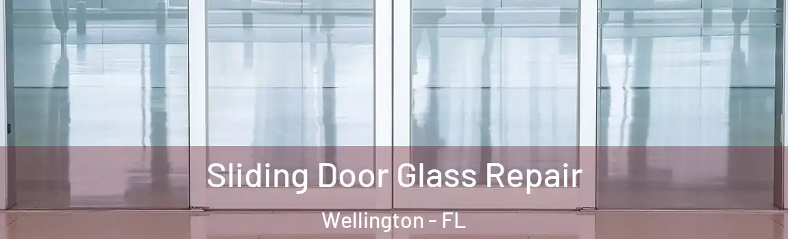Sliding Door Glass Repair Wellington - FL