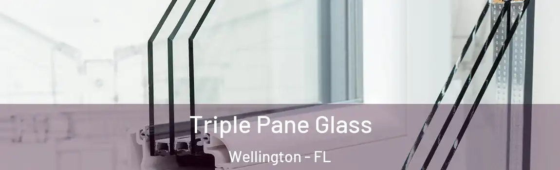 Triple Pane Glass Wellington - FL