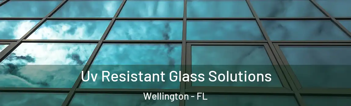 Uv Resistant Glass Solutions Wellington - FL
