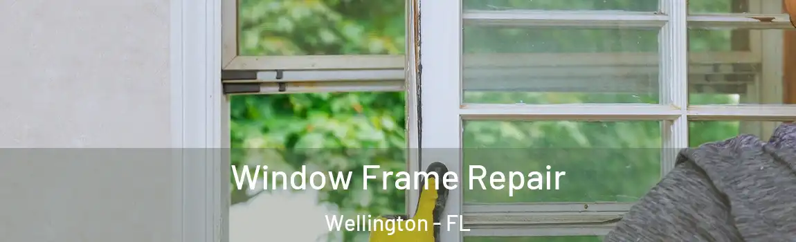 Window Frame Repair Wellington - FL