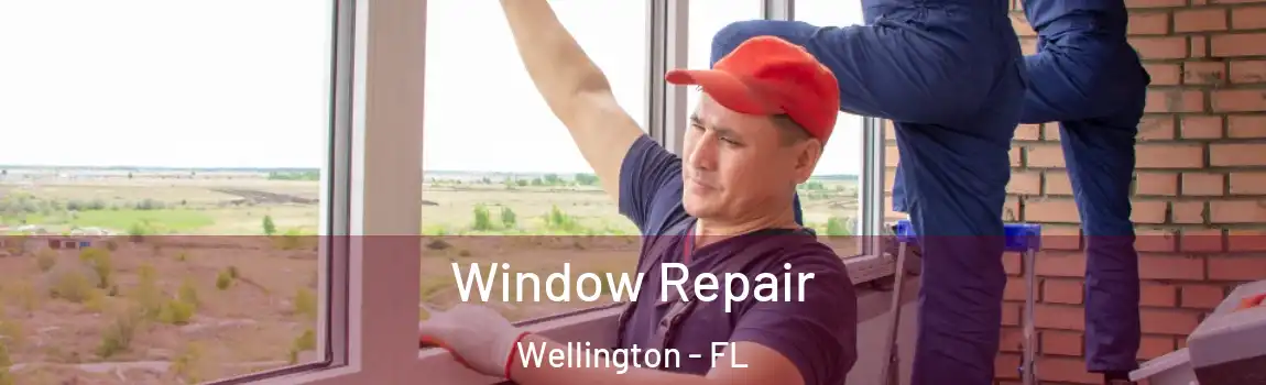 Window Repair Wellington - FL